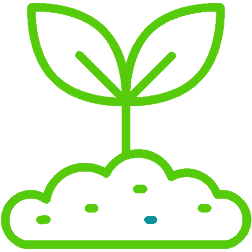 Icon 2