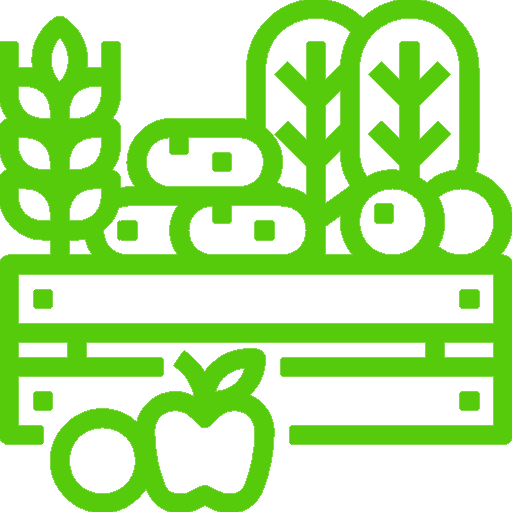 Icon 5